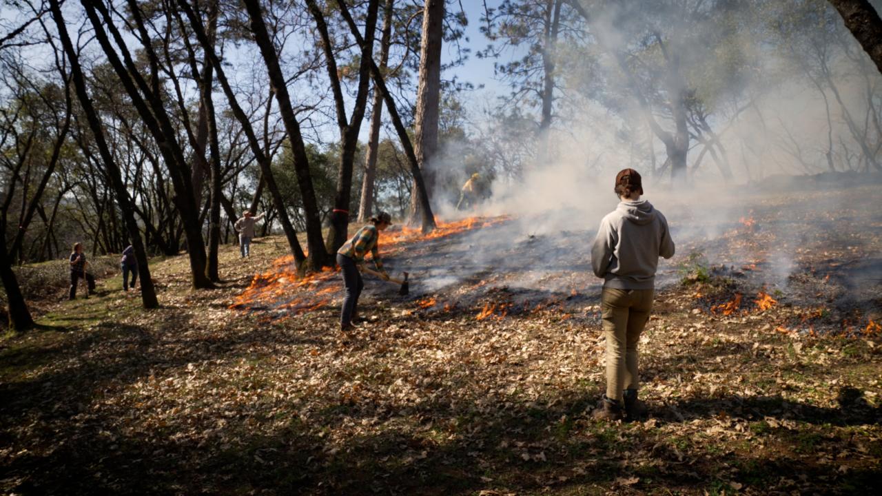 Community members, agency staffers, landowners and researchers tend a prescribed burn in Placerville, California in February 2022. (Tim McConville/UC Davis)