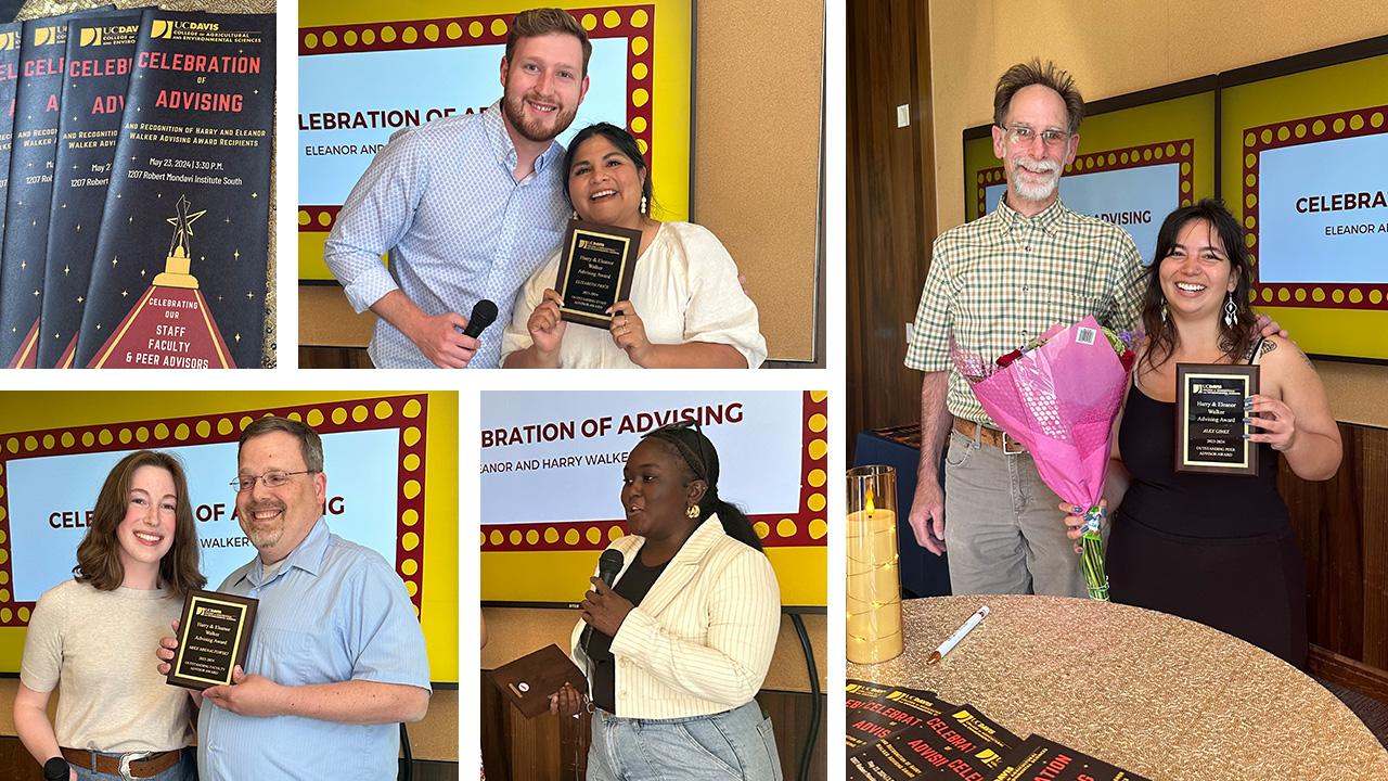 A collage of people accepting advising awards.