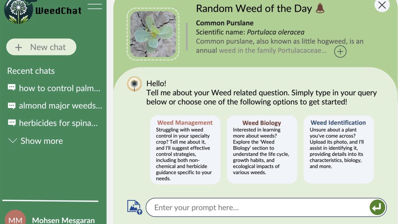 A mockup of what WeedChat would look like. (Mohsen Mesgaran / UC Davis) 
