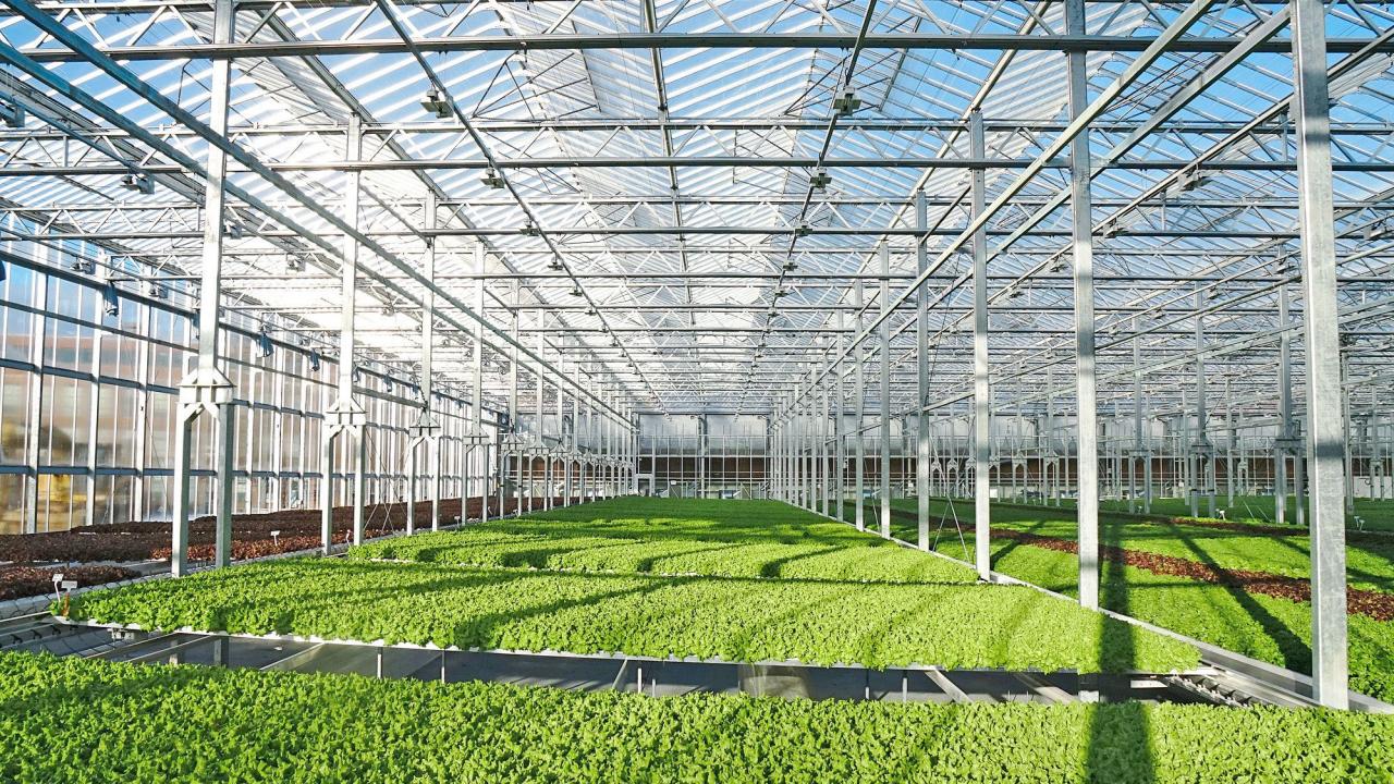 Greenhouse