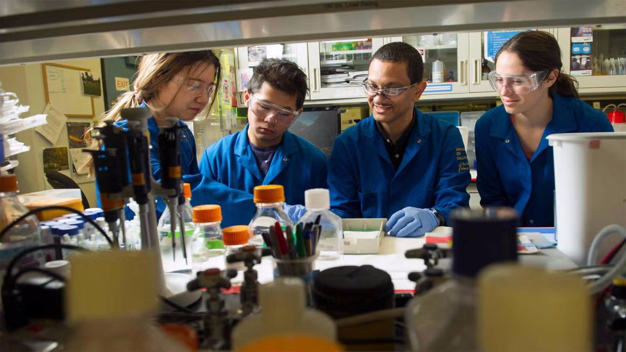 Professor Aldrin Gomes of the Department of Neurobiology, Physiology and Behavior, second from right, was named a recipient of the Presidential Award for Excellence in Science, Mathematics and Engineering Mentoring. (Karin Higgins/UC Davis)
