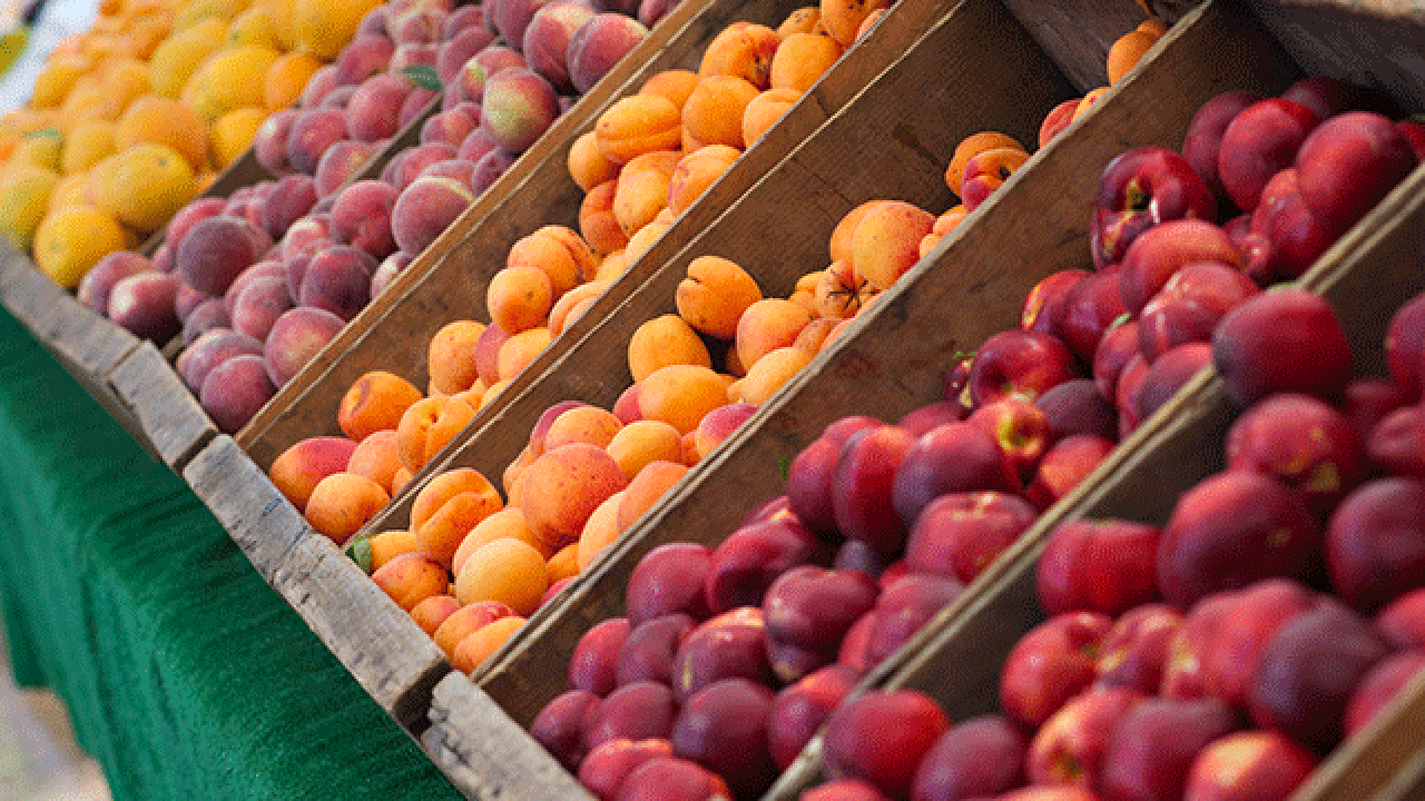 Fruit in boxes for sale at an outdoor market.
