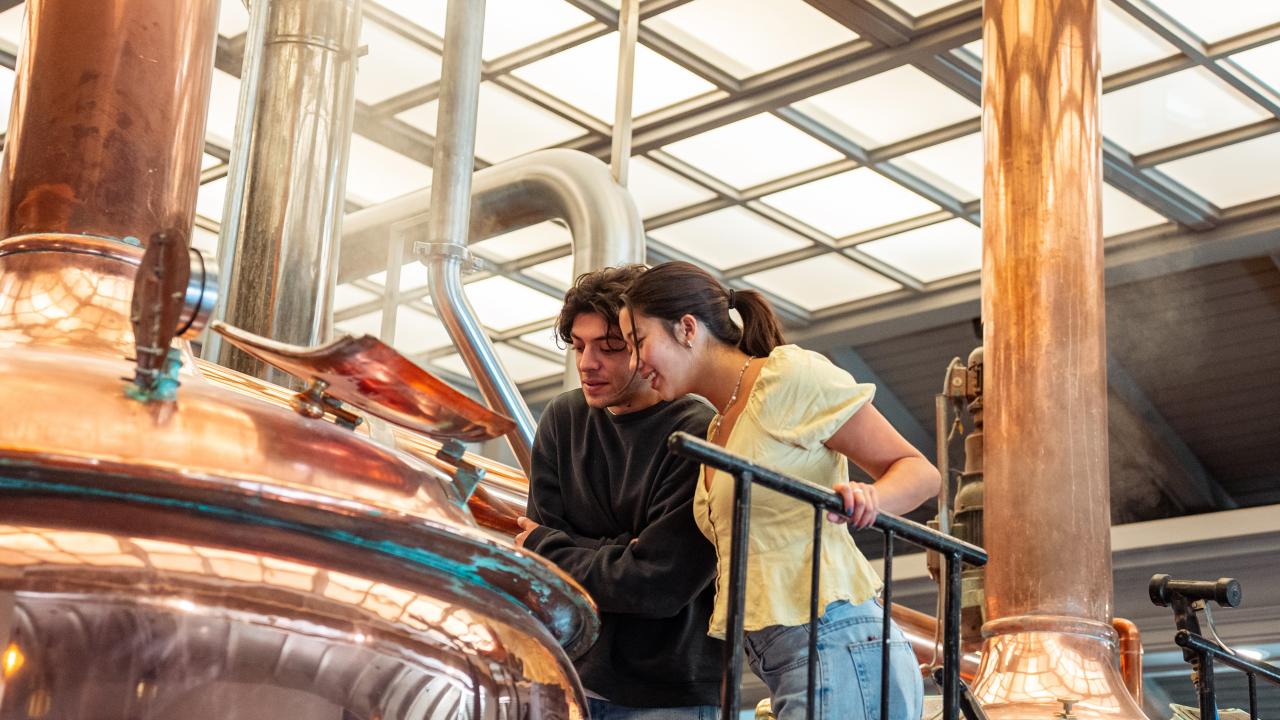 UC Davis students Fermin Barbosa and Tali Cooper help brew their winning beer recipe at Sudwerk Brewing Co. in Davis. The team won the 2024 UC Davis Iron Brew Competition with their "Brew La-La," a Belgian blonde ale. Photo by: Katherine Yanogacio, Sudwerk Brewing Co.