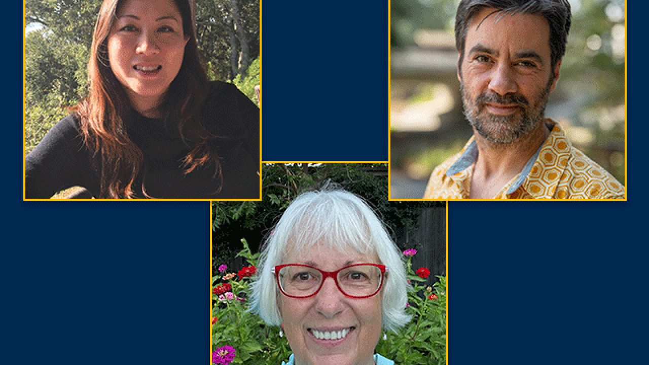 A collage of head shots of Joanna Chiu, Andrew Whitehead and Mary Delany.