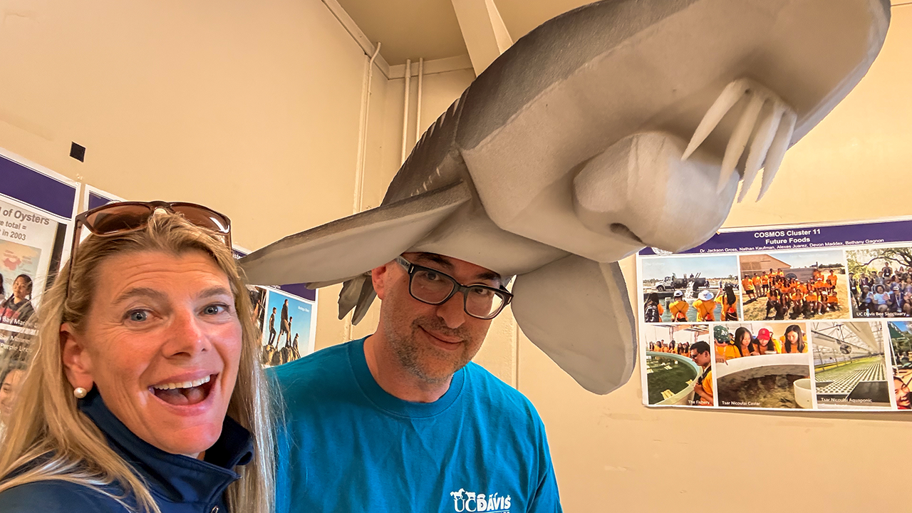 Smiling woman and man wearing oversized gray shark hat in casual indoor photo