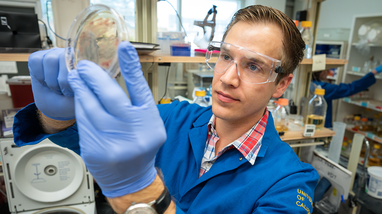 A researcher wearing lab goggles and a lab coat while examining a specimen.