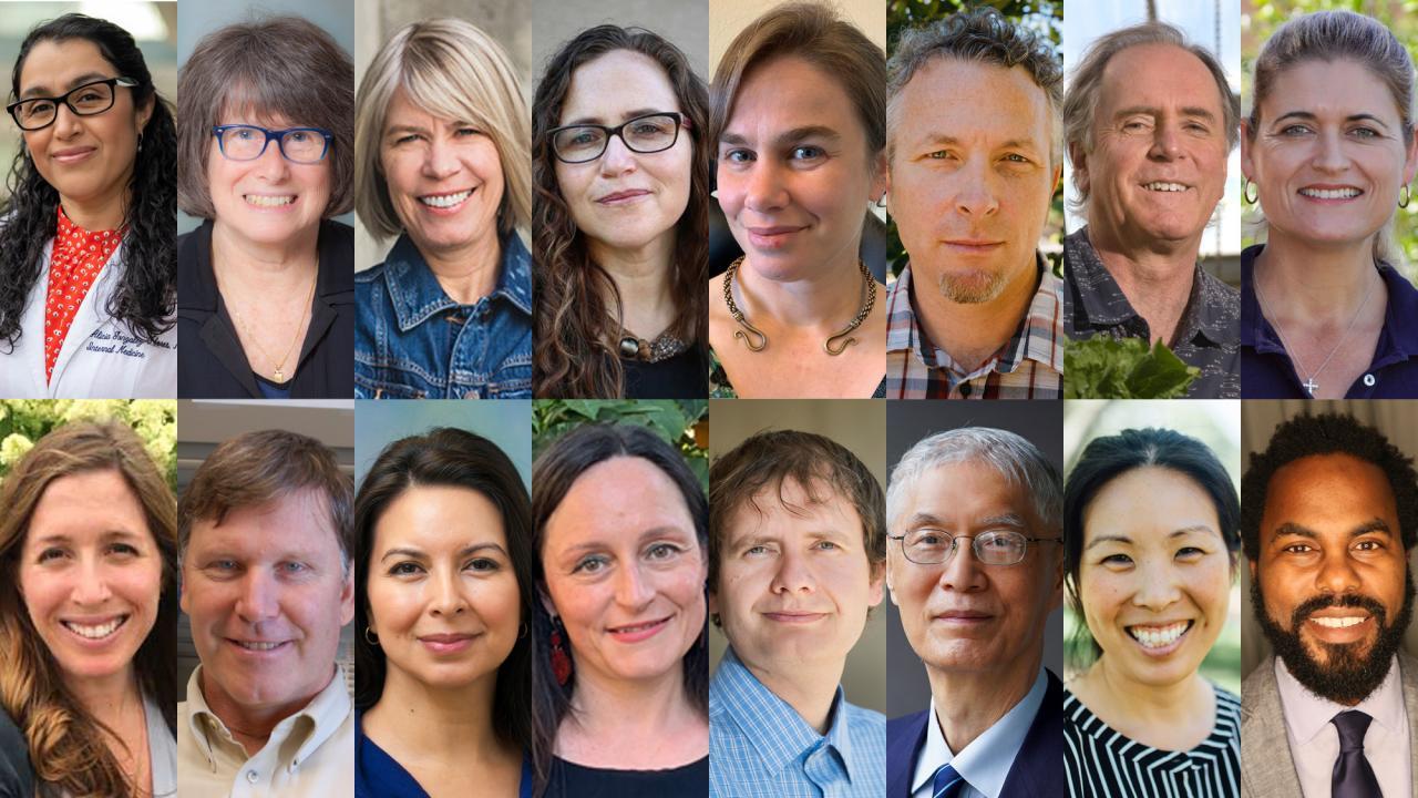 Collage of the 2021 Academic Senate Federation Award Recipients