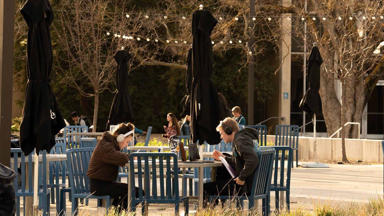 Students studying outdoors