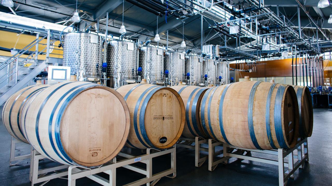 The Teaching and Research Winery at the Robert Mondavi Institute for Wine and Food Science. (UC Office of the President)
