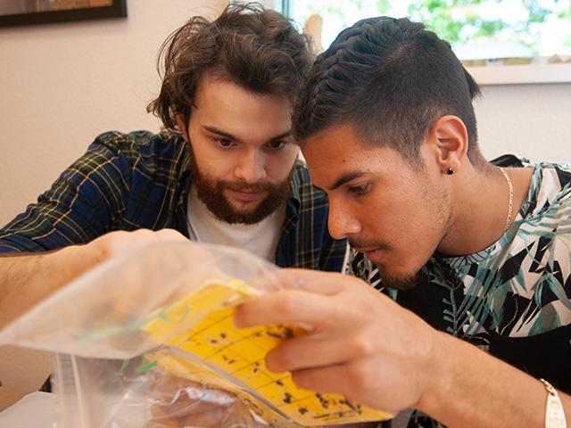 Two students examining soil samples.