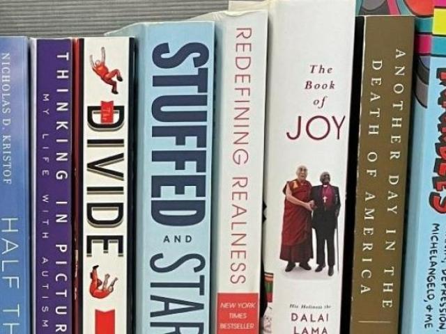 Books lined up.
