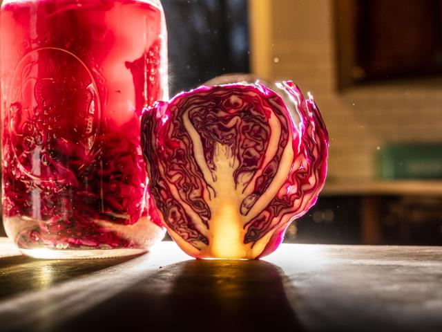 A new UC Davis study shows that having fermented food like sauerkraut could be good for gut health. Photo by: Hector Amezcua, UC Davis