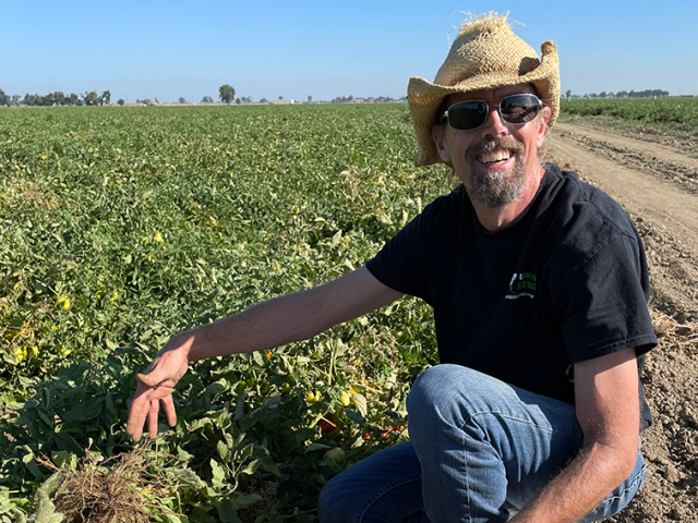 Brad Hanson, a professor of Cooperative Extension in plant sciences, at a research field in Woodland than is infested with the parasitic weed Orobanche ramosa, otherwise known as branched broomrape.