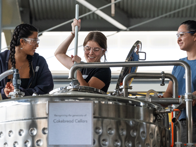 Students, in VEN 124L Winemaking Laboratory, are mixing the yeast into the fresh grapes.