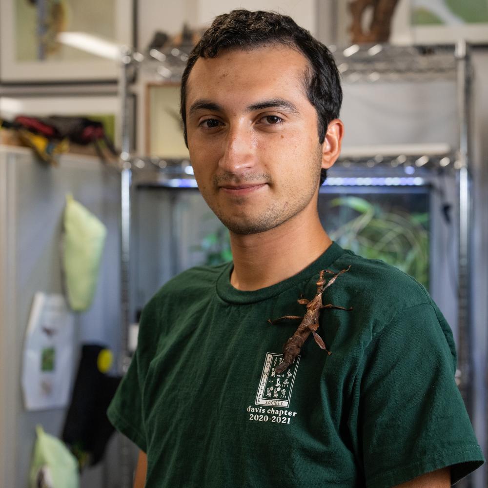 A student stands with a stick bug on his shoulder at the Bohart Museum of Entomology.