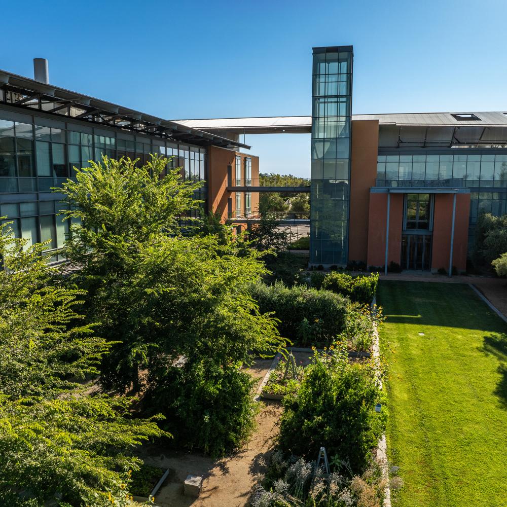 An arial shot of the Robert Mondavi Institute.