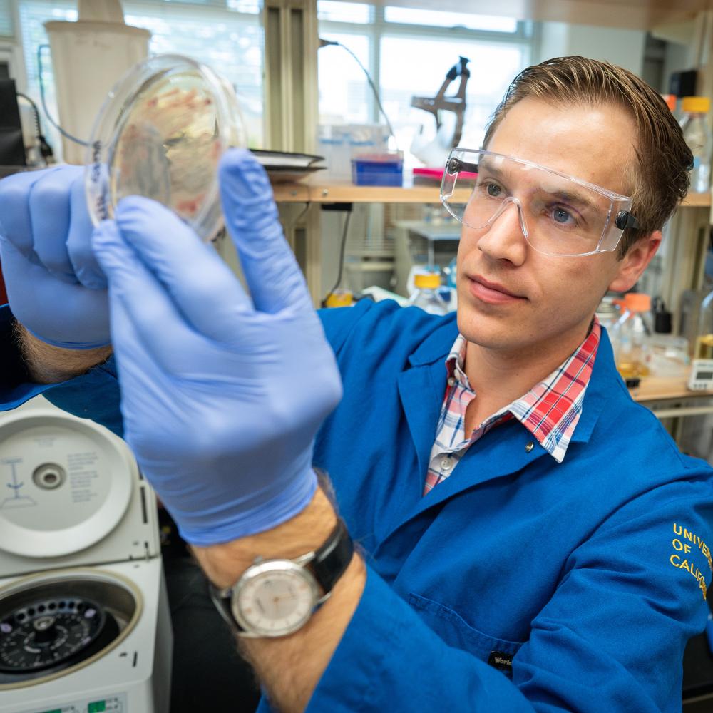 A person in a lab coat holding up a specimen.