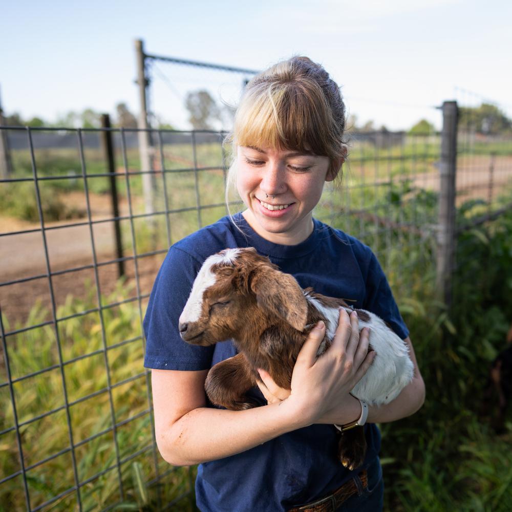 A CA&ES student holding a baby goat outside the goat barn.
