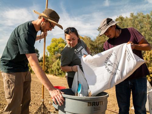 Students visited Hedegrow Farms where they learned about seed production of native plants.