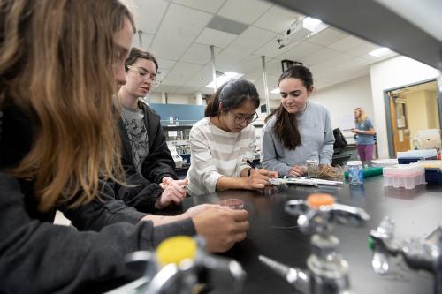 Students preparing bacteria plates to test for fecal coliforn in water collected from the Arboretum Waterway as part of the Wild Davis course.