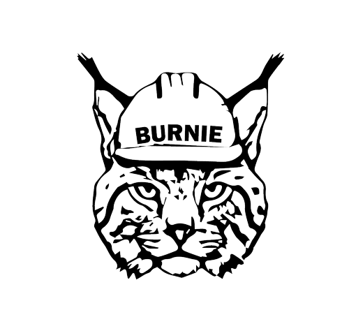 Burnie the Bobcat, image by Brett Milligan and Emily Schlickman, UC Davis