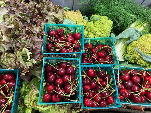 Thanks to a new collaboration between the Department of Plant Sciences and the Fresh Focus program, fruit is being added to the vegetables provided to students facing food insecurity. (Trina Kleist/UC Davis)