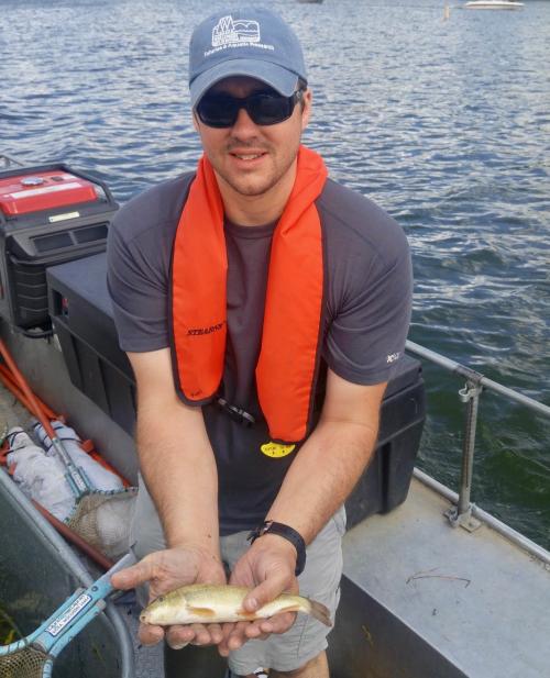 UC Davis fish ecologist Andrew Rypel holds a native sucker fish. (Courtesy Andrew Rypel/UC Davis)