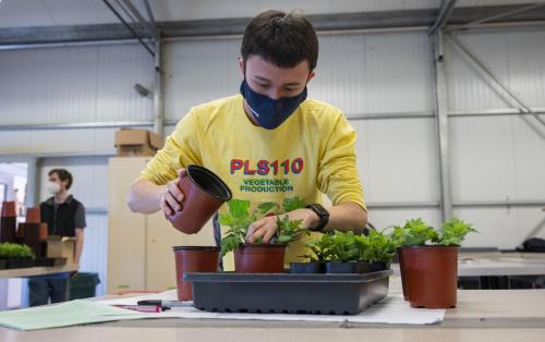 A student works with plants in Heiner Leith's class.