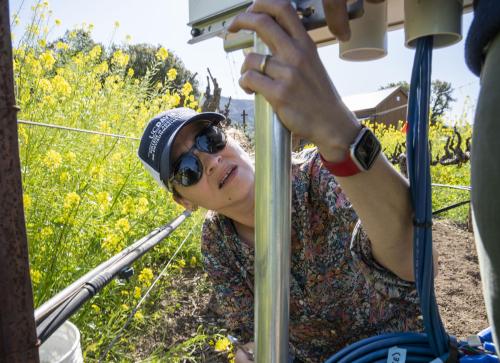 Beth Forrestel, an assistant professor in the Department of Viticulture and Enology, installs a digital monitor at a vineyard that belongs to Winiarski
