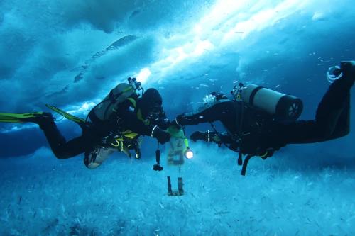 Amanda Frazier and a colleague collect juvenile fish in Antarctica. (Steve Rupp)