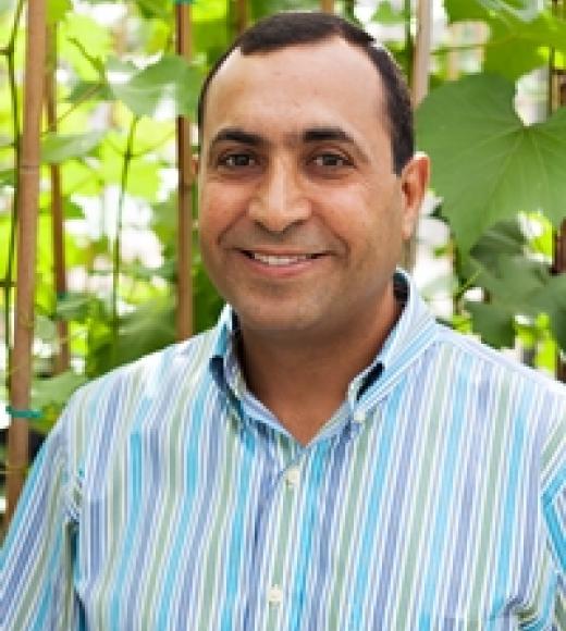 Maher Al Rwahnih