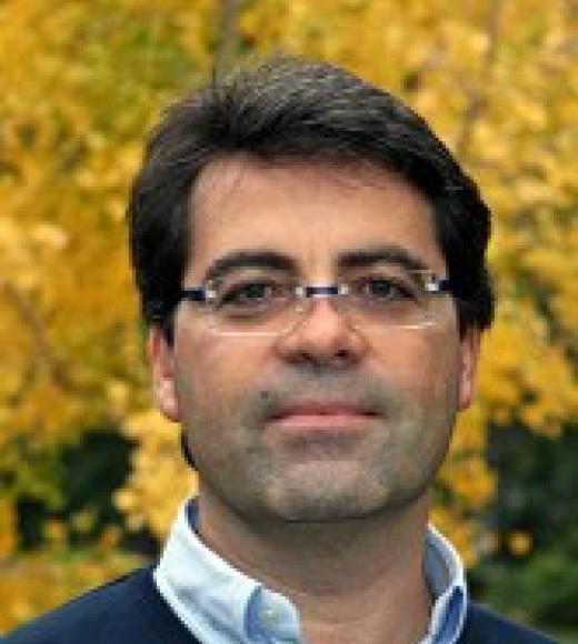 Daniele Zaccaria