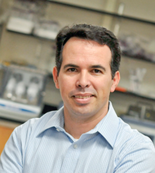 Jorge Rodrigues