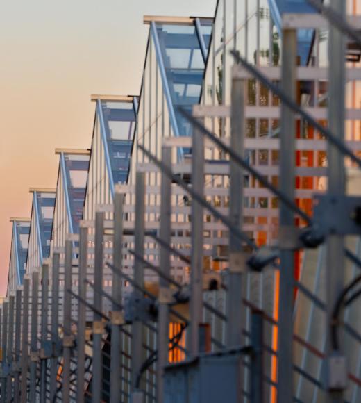 UC Davis CORE greenhouses at sunset with the campus water tower in the background.