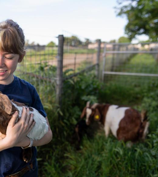 A CA&ES student holding a baby goat outside the goat barn.