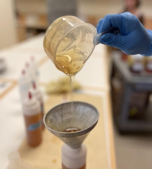 Students prepare honey samples in RMI lab for trained sensory panel that is part of a new honey analysis/study by Gaelle Chanlot Delarue with Dept. of Food Science and Technology. (Tiffany Dobbyn/UC Davis)