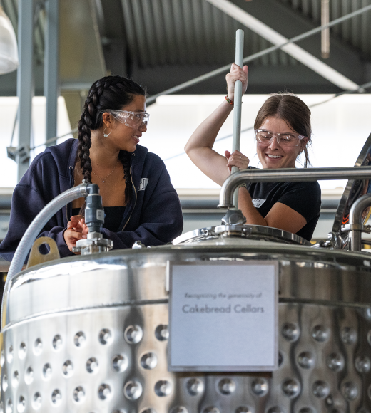 Two people working in a winery.