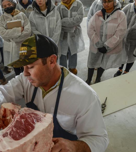 A person in a hat uses a side of meat to teach the students behind him about butchery.