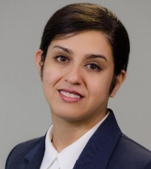 Farzaneh Khorsandi, Ph.D