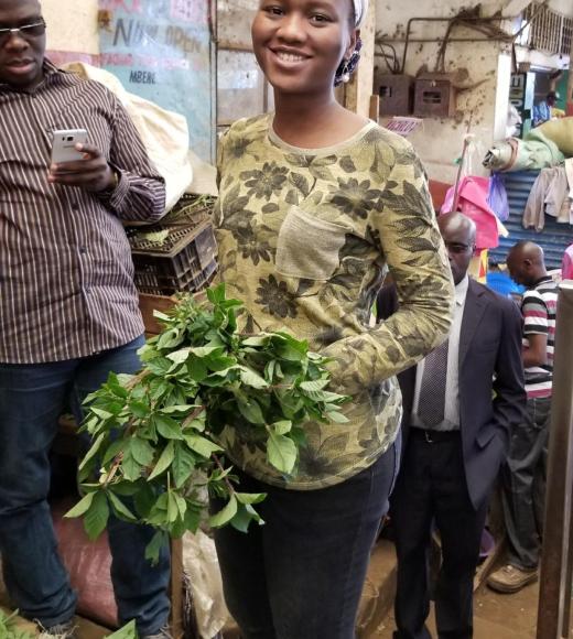 Deedi Soghossou, a graduate of the African Plant Breeding Academy, samples a spider plant, a popular, but neglected leafy vegetable eaten across Africa. (African Orphan Crops Consortium)
