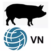 Swine ICON