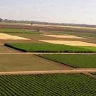 farm