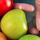 hand holding fruits