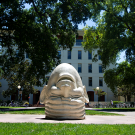 Mrak egg head