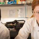 Two researchers working in a lab.
