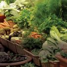 Food in the produce aisle.