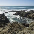 Offshore of the UC Davis Bodega Marine Reserve is a rocky reef encompassing two Marine Protected Areas. (Karin Higgins/UC Davis)