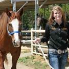 horse