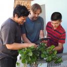 The Smart Spray team: computer scientist Gabriel Del Villar; agricultural entomologist Christian Nansen and computer scientist/student Alexander Recalde. (Photo by Kathy Keatley Garvey)