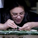 Kristin Aquilino, project manager for the white abalone program at Bodega Marine Laboratory, inspects year-old white abalone in 2017. (Joe Proudman/UC Davis)